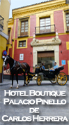 Hotel Boutique Palacio Pinello