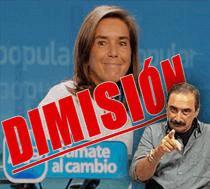 ver/oir