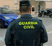ver/oir