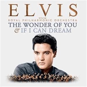 The Wonder of You - Elvis Presley