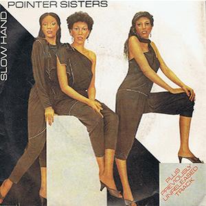 The Pointer Sisters - Slow hand.