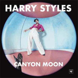 Harry Styles - Canyon moon