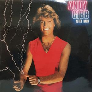 Andy Gibb - After dark
