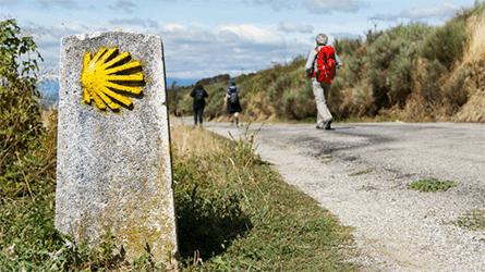 Feijo espera que el Camino de Santiago est operativo a finales de junio