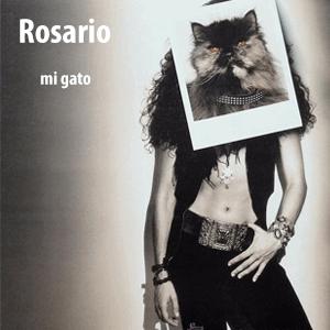 Rosario - Mi gato