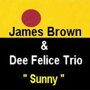 James Brown and Dee Felice Trio - Sunny