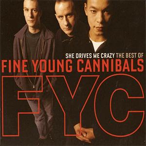 Fine Young Cannibals - She drives me crazy