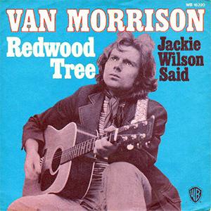 Van Morrison - Redwood tree