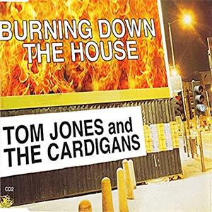 Tom Jones and The Cardigans - Burning down the house