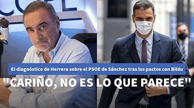 El diagnstico de Herrera sobre el PSOE de Snchez tras los pactos alcanzados con EH Bildu