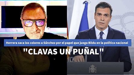 Herrera saca los colores a Sánchez por el papel que juega Bildu en la política nacional