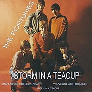 The Fortunes - Storm in teacup