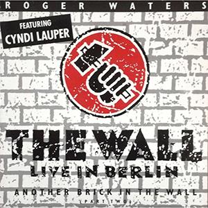 Roger Waters - Another brick in the wall