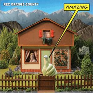 Rex Orange County - Amazing