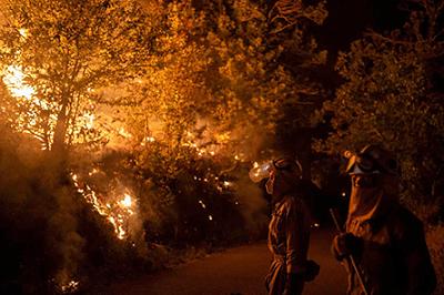 El fuego se cobra la vida de un brigadista y de un hombre de 69 aos en el incendio de Zamora