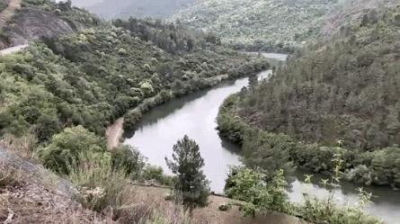El camino los meandros del Sil