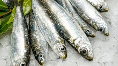 La curiosa habilidad de Herrera para limpiar sardinas con la ua