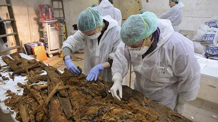 Los expertos analizan restos encontrados en la cripta de las Trinitarias Los expertos analizan restos encontrados en la cripta de las Trinitarias
